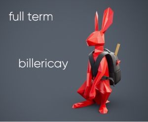 Billericay - One Term  Season