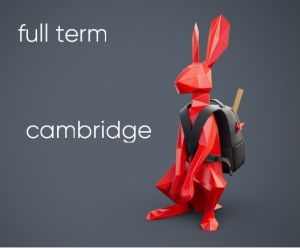 Cambridge - One Term Season