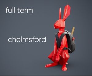Chelmsford - One Term Season