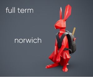 Norwich - One Term Season
